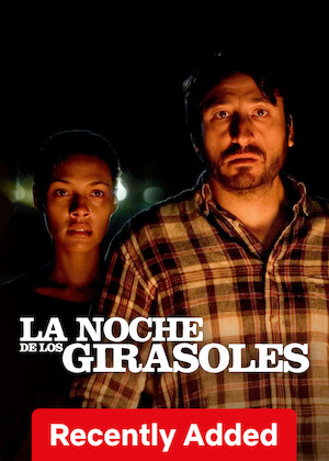 The Night of the Sunflowers poster